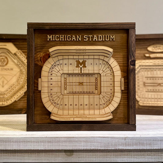 Big House 3D Framed Stadium